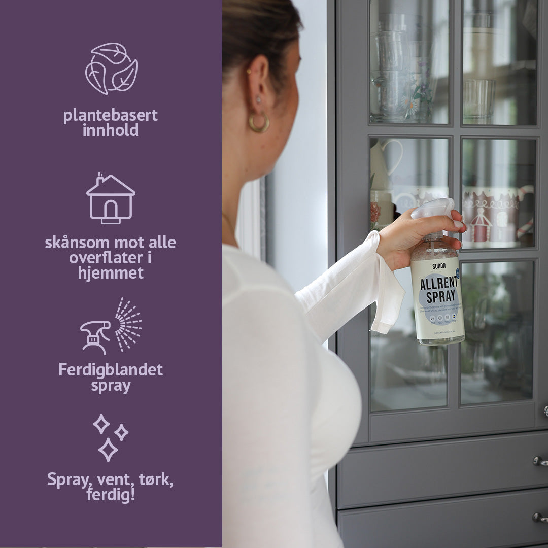 Allrent Spray 500 ml